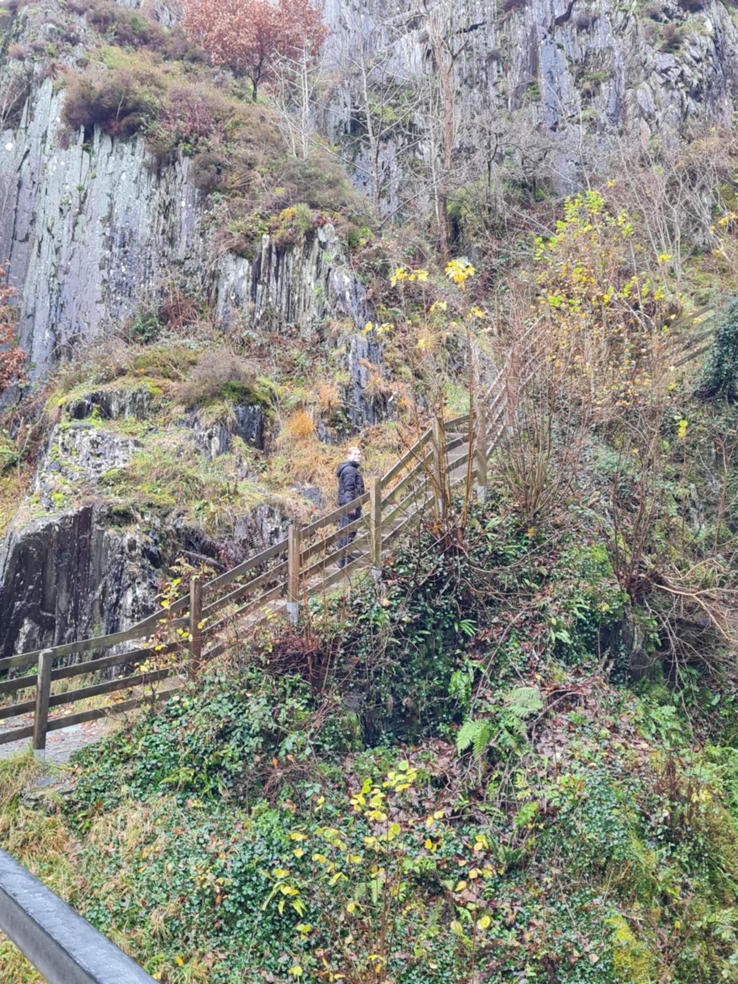 Marian Cottage Ingleton  Εξωτερικό φωτογραφία